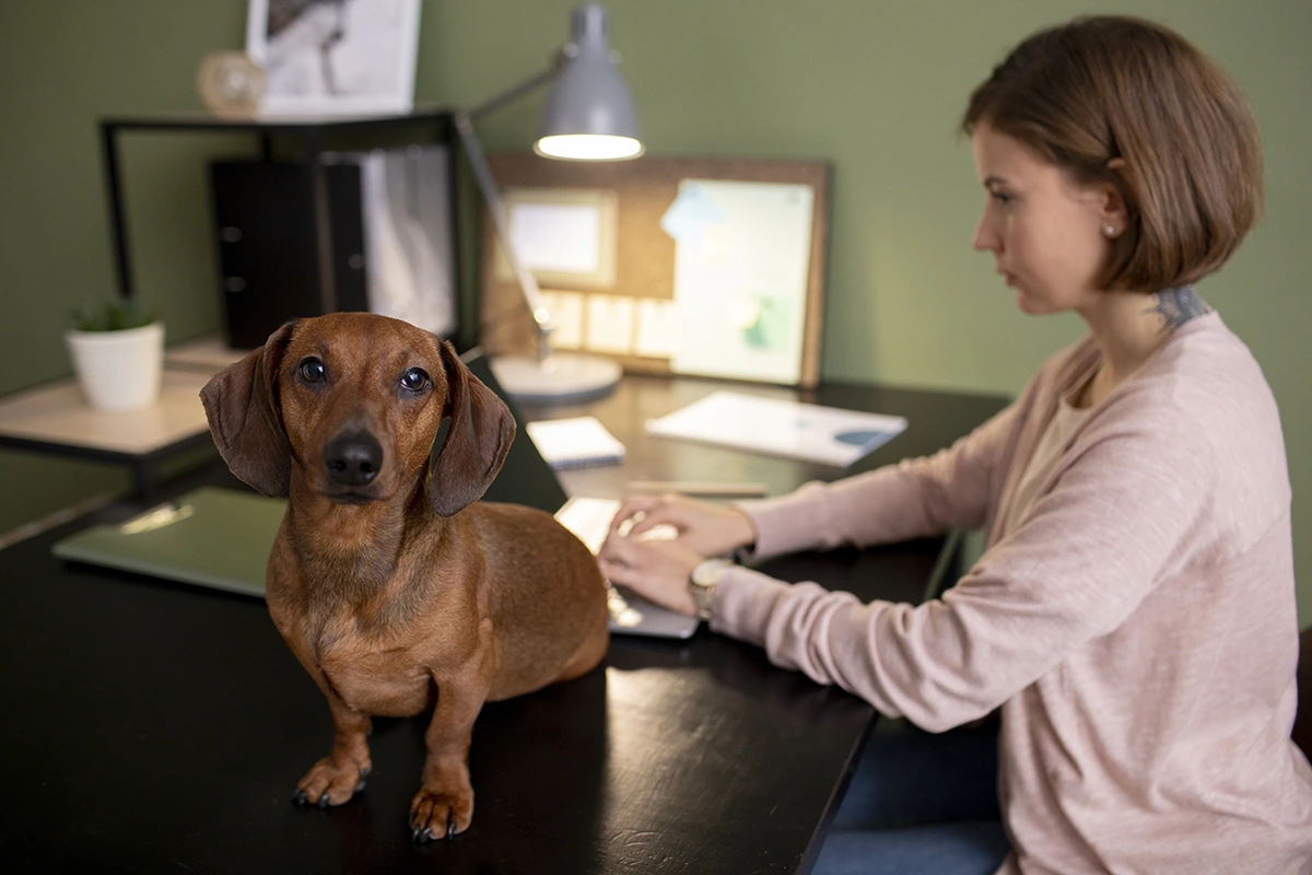 Scheduling A Pain Management Consultation In Bonner Springs