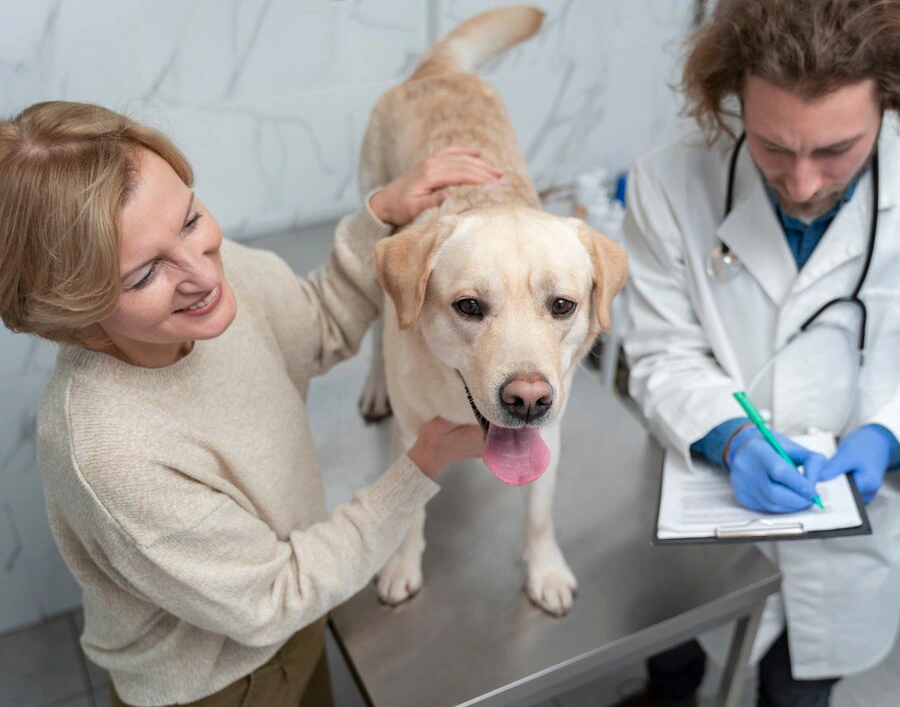 Medical Records Access