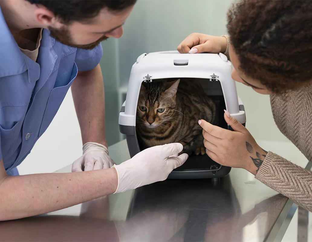 New Patients You’re Always Welcome Here