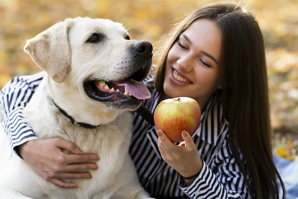Supporting Your Pet’s Health Through Nutrition in Bonner Springs