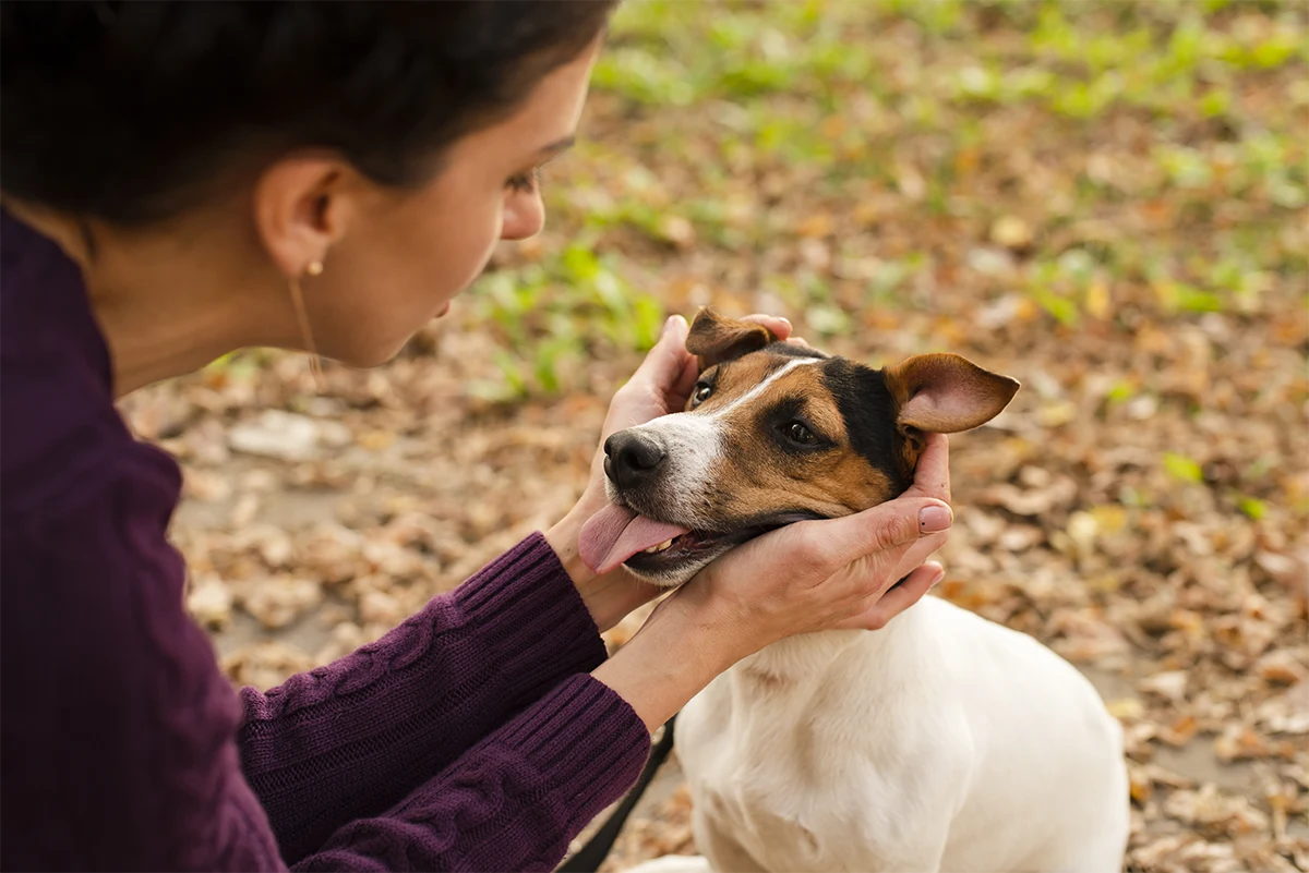 Heartworm, Flea & Tick Prevention