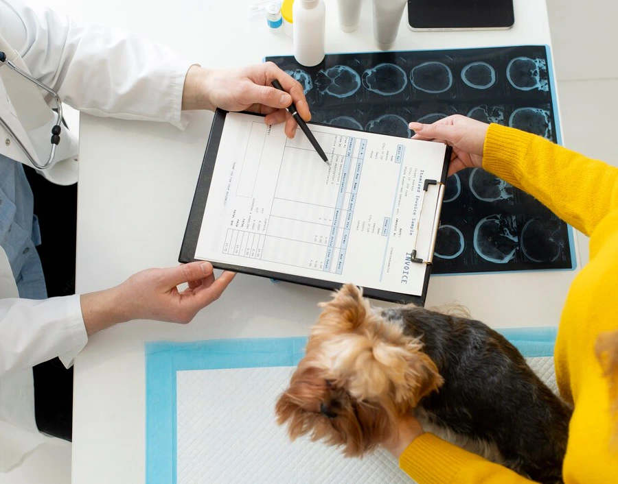 Prescription Refill Requests