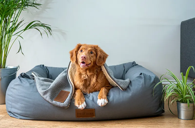 Scheduling Diagnostic or Internal Medicine Care in Bonner Springs