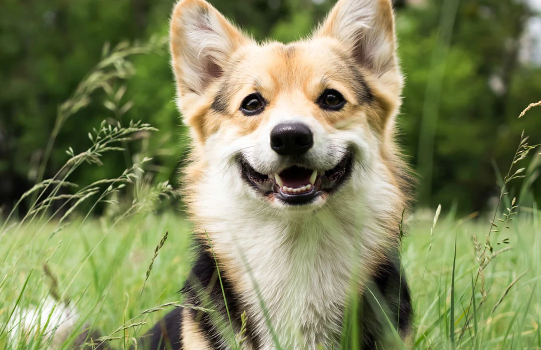 Patient Resources & Helpful Information