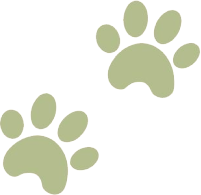 promotions-top-img-n