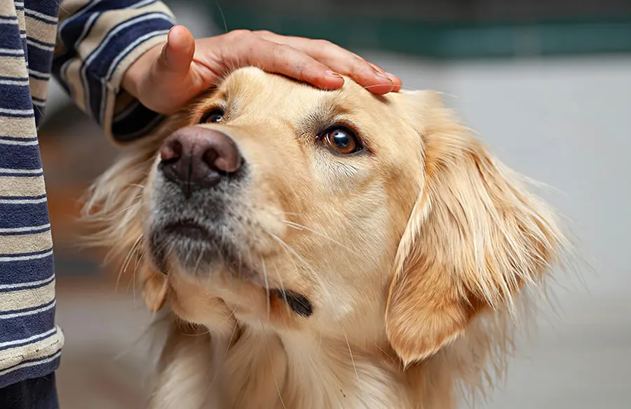 When to Contact Us Between Wellness Visits